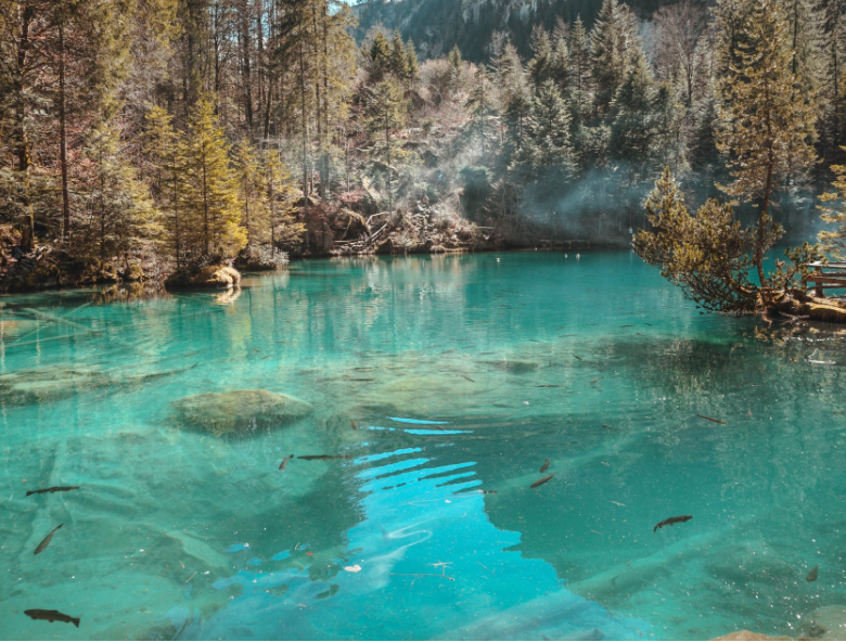 1650615358650133.png 微信截圖_20220401133602.png